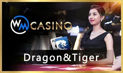 Live Casino dealer table